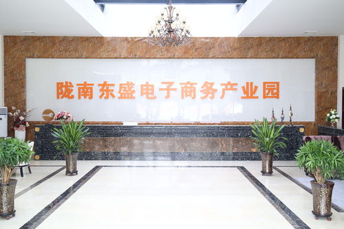 陇南东盛农产品电子商务