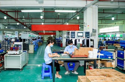 数字化内销路径带火外贸产品