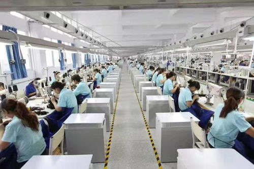 9个月营收10.5亿,假发巨头瑞贝卡持续发力线上