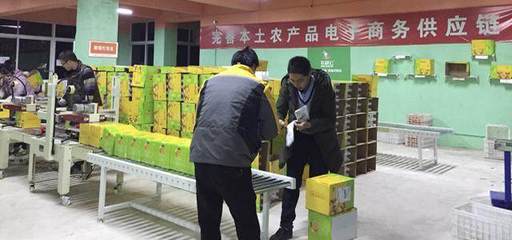 借力农村电商“东风”助推金堂柑橘销往全国
