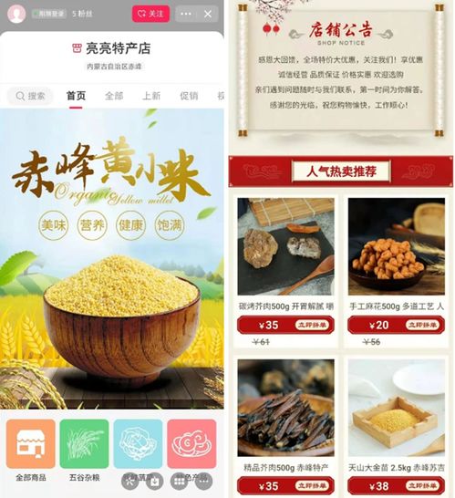 开拓农产品上行新渠道 手把手帮助农民开网店