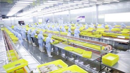 电子商务中的消费者权益保障 挑战与应对